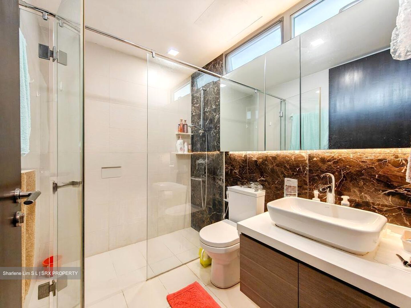 Skies Miltonia (D27), Condominium #498869021